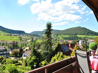 Bild 16 aus  Goldener Hahn - Hyggeliges Aparthotel mit Frühstücksbuffet, Pool & Sauna