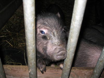 Bild 3 aus  Ulfers Touristik