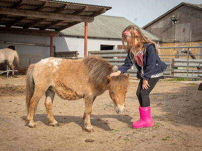 Bild 41 aus  LINDENHOF- BAUERNHOFURLAUB / OSTSEENÄHE