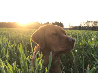 Bild 23 aus  Hof Flottwedel