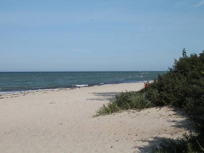 Bild 7 aus  Ferienhaus Stechelhus