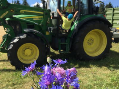Bild 9 aus  Steffahof - Mitglied von LandSelection
