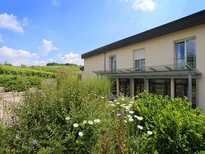 Bild 11 aus  Weingut & Weinhotel Benz
