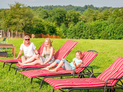 Bild 29 aus  Panoramahof