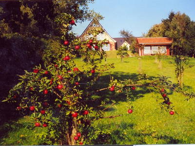 Bild 8 aus  Idyll an der Schlei