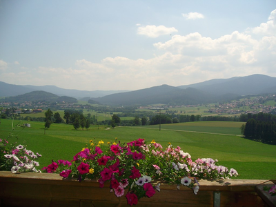 Bild 13 aus  Kriegerhof