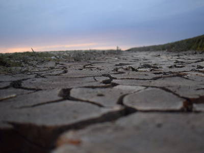 Bild 23 aus  Ferienhof Gertz