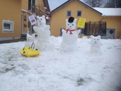 Bild 46 aus  Gästehaus im Lochautal