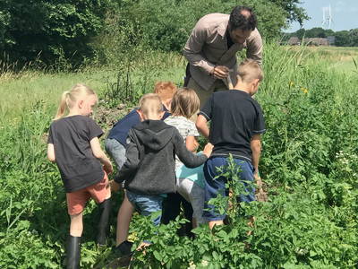 Feldbegehung mit Bauer York