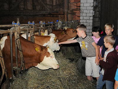 Bild 12 aus  Exenbacher Hof