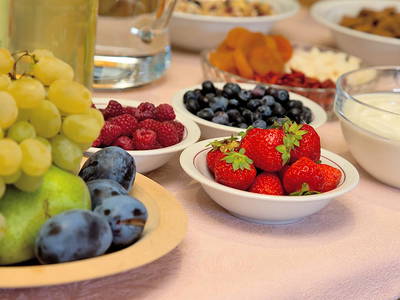 Bild 23 aus  Appartement Birkenhof - Urlaub mit Pferden und Alpakas