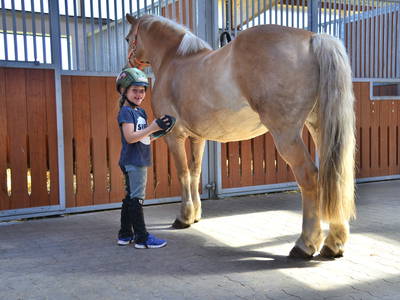 Bild 7 aus  Küselhof und Reiterhof Witt