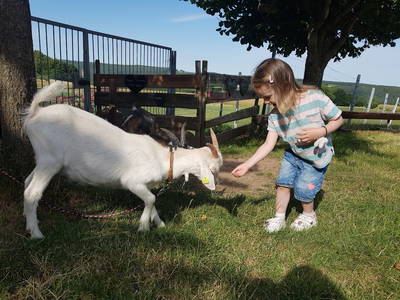 Ich habe was für dich