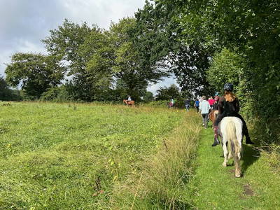 Bild 13 aus  Ferienhof Sell Bauernhofurlaub Ostsee Ponys