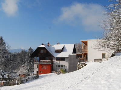 Bild 31 aus  Forstbauer am Millstätter Hochplateau