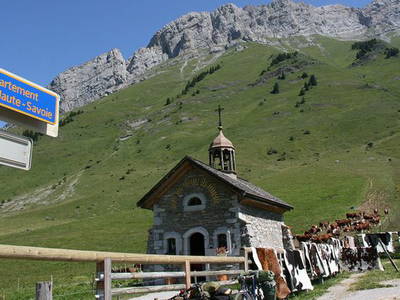 Bild 9 aus  Eselhof Le Certeau