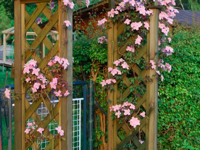 Bild 13 aus  Ahoi Ostsee:  Bauernhof und OstseeUrlaub - Ferienhof Becker in Dahme