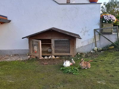 Bild 13 aus  Fuchsbauernhof