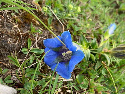 Bild 14 aus  Ferienwohnung im Rosengarten
