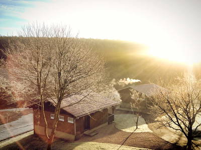 Bild 25 aus  Siefertshof