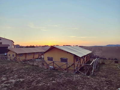 Bild 11 aus  La Viola e il Sole