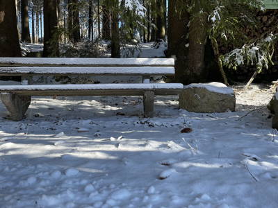 Bild 28 aus  Ferienwohnung Rüttwaldhof