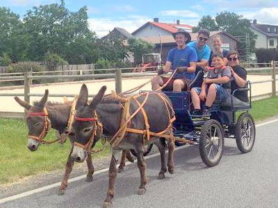 Bild 3 aus  Freizeit- und Ferienreiterhof Odenwald