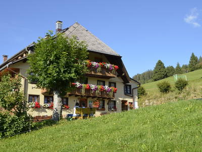 Bild 4 aus  Sunmattehof