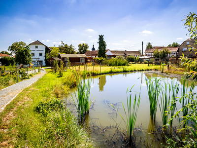 Bild 22 aus  Ferienhof Wolschendorf