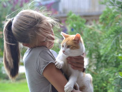 Bild 14 aus  Ferienhof Sell Bauernhofurlaub Ostsee Ponys