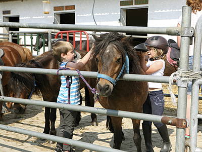 Bild 14 aus  Ferienhof Jehle