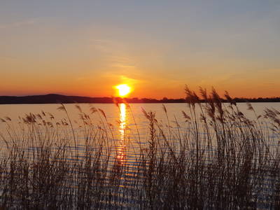 Bild 46 aus  Ferienhof Sonnengarten