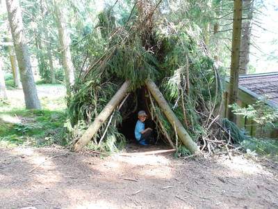 Bild 11 aus  Wieshof