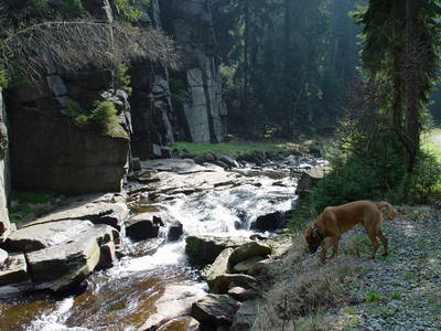 im wildromantischen Schwarzwassertal