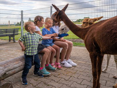 Bild 38 aus  Ferienwohnungen Wagner