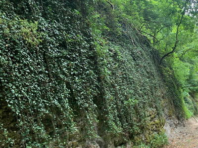 Bild 25 aus  Gästehaus im Lochautal