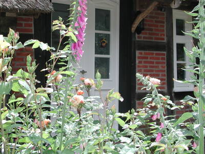 Bild 28 aus  Hof Höpen