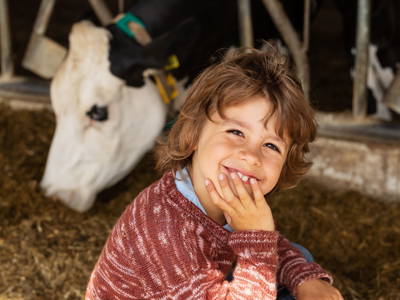 Bild 24 aus  Hof Keppel, der stromlose Urlaub