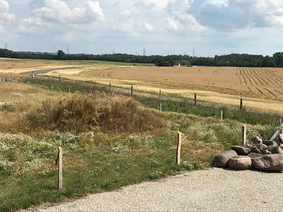 Bild 5 aus  Nordgården- Ferien auf dem Land