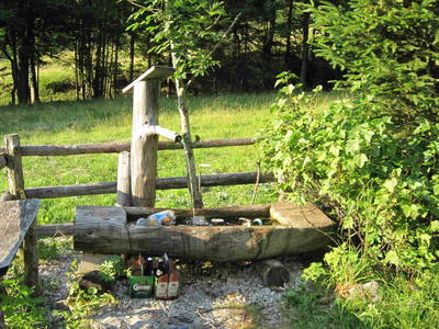 Bild 64 aus  Bio-Urlaubshof Dansbach