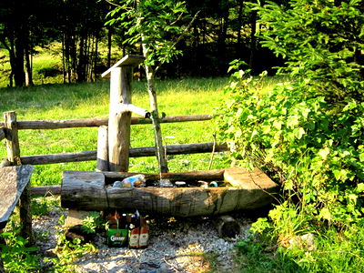 Bild 19 aus Bio-Urlaubshof Dansbach