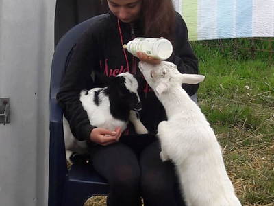 Bild 31 aus  Marienhof