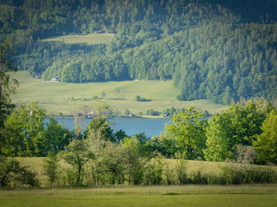 Bild 8 aus  Arnestgut