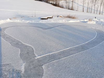 Bild 29 aus  Nußbaumer