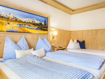 Bild 101 aus  Biobauernhof Windbachgut - Privatzimmer