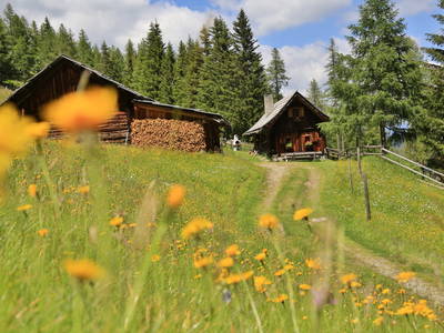 Bild 11 aus  Thürerhütte