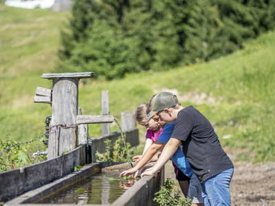 Bild 5 aus  Raineralm