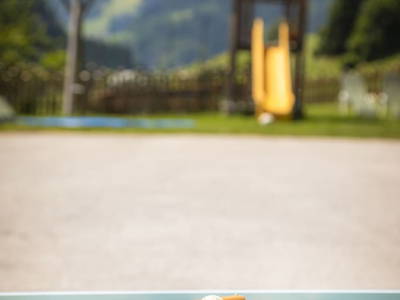 Bild 21 aus  Schaidreithof