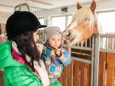 Bild 51 aus  Lodges Bernardes