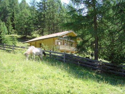 Bild 12 aus  Almhütte Hueber